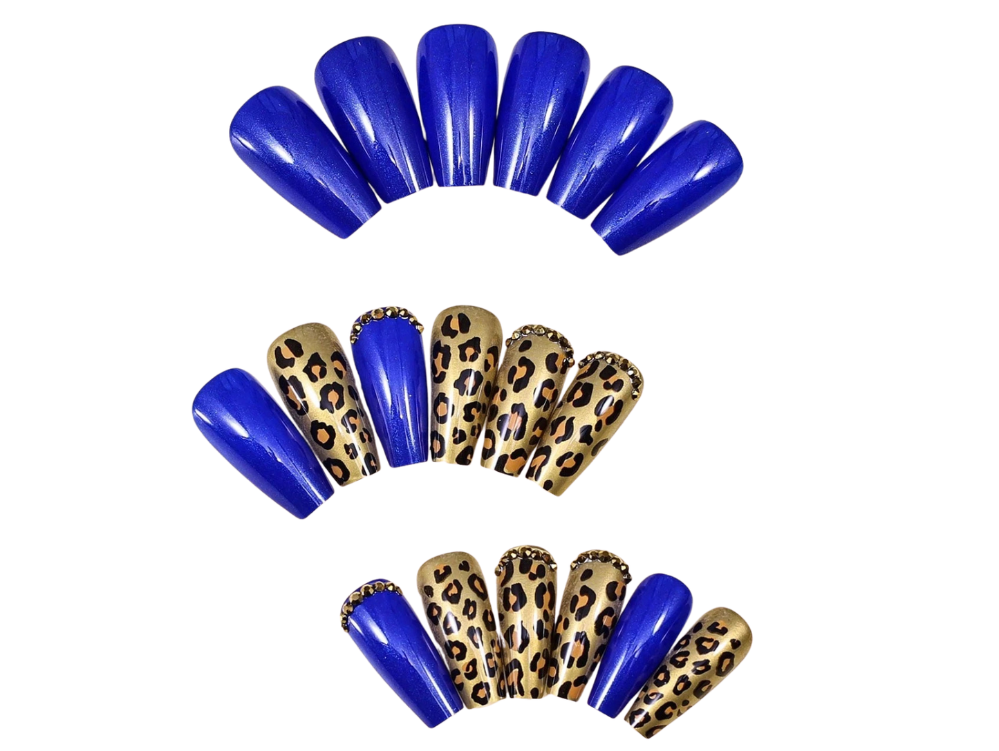 Blue Leopard